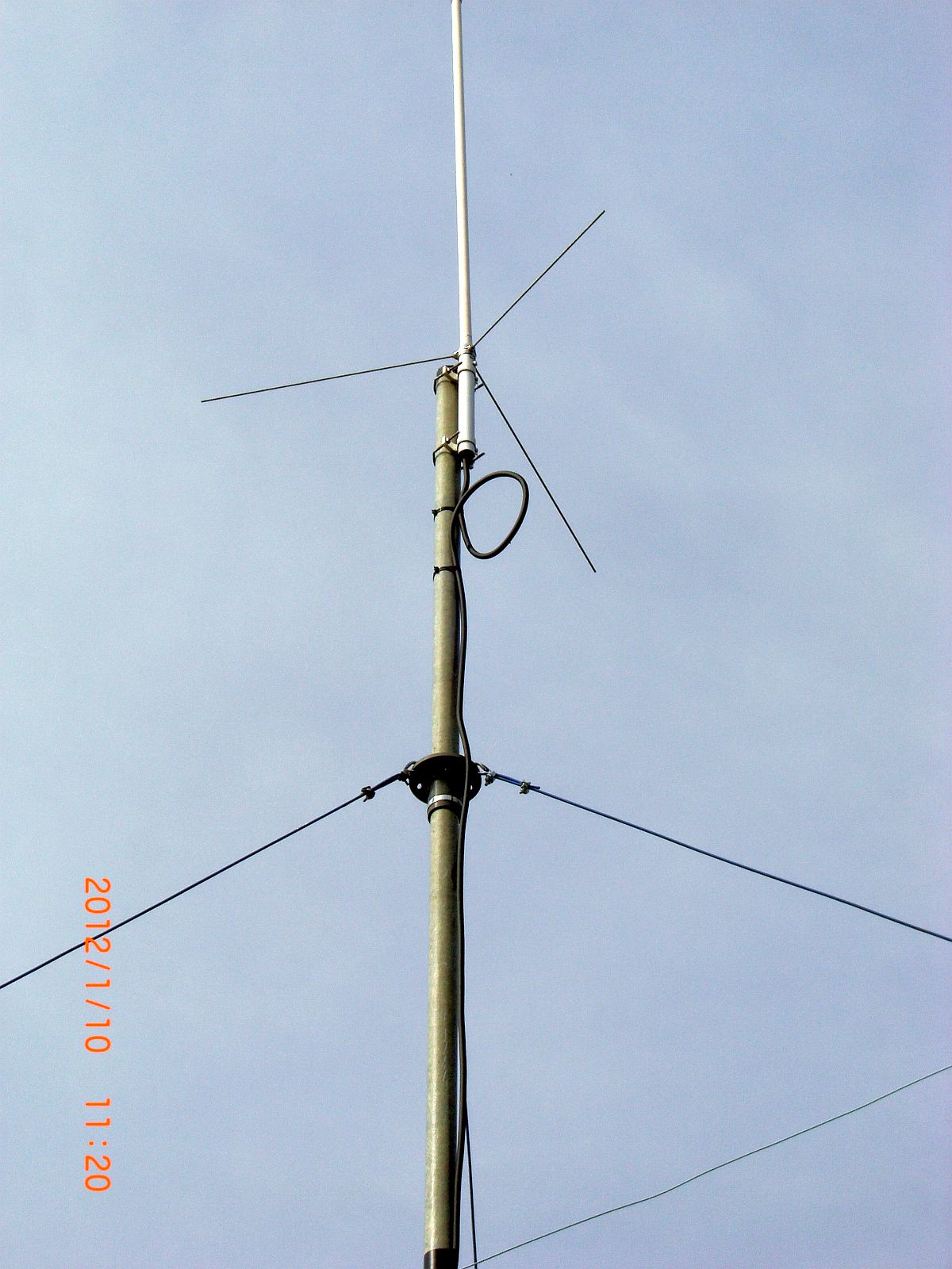 CIMG1177B.jpg